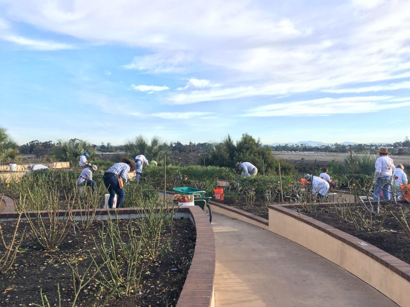 Balboa Park Cleanup