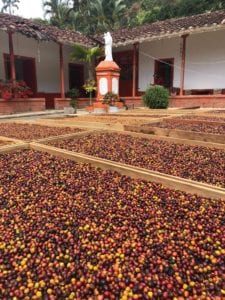 Colombian Coffee 
