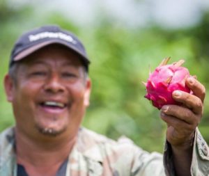 Farmer and dragon fruit