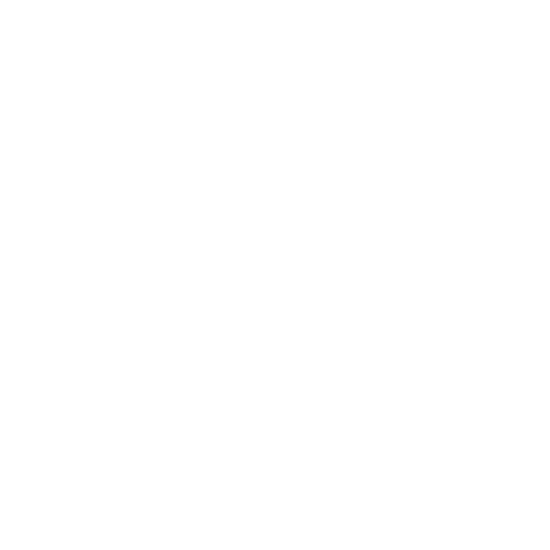 Brave Trails