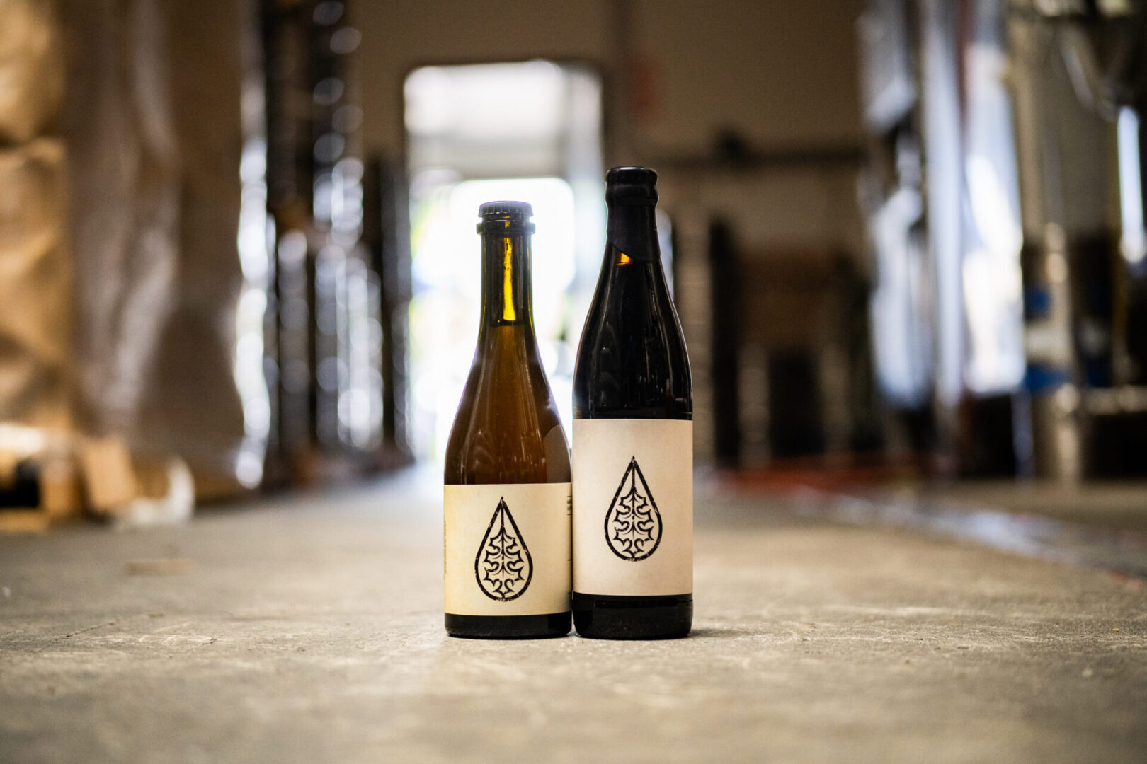 Cellar Cyndicate pair