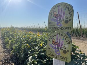 Pollinator Habitat