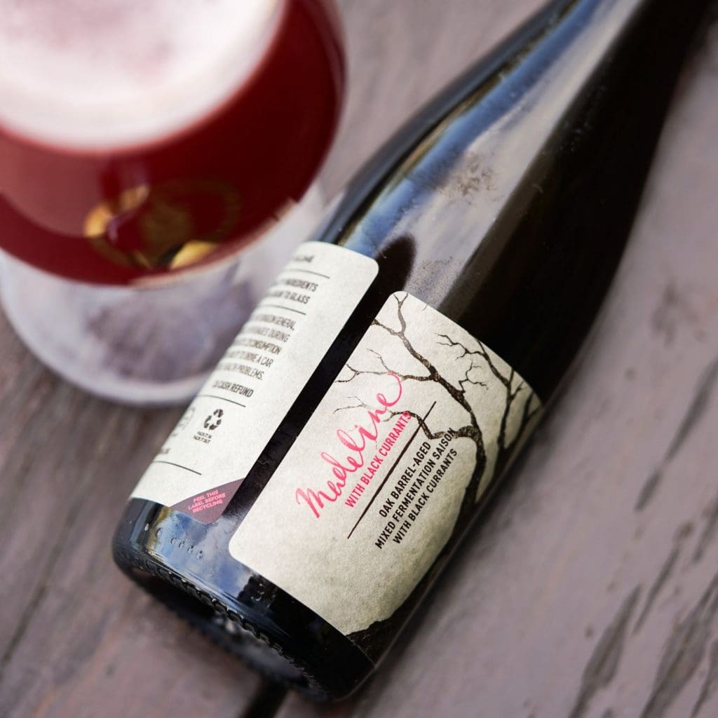 Top-down view of a bottle of Pure Project Madeline with Black Currants saison next to glass of beer