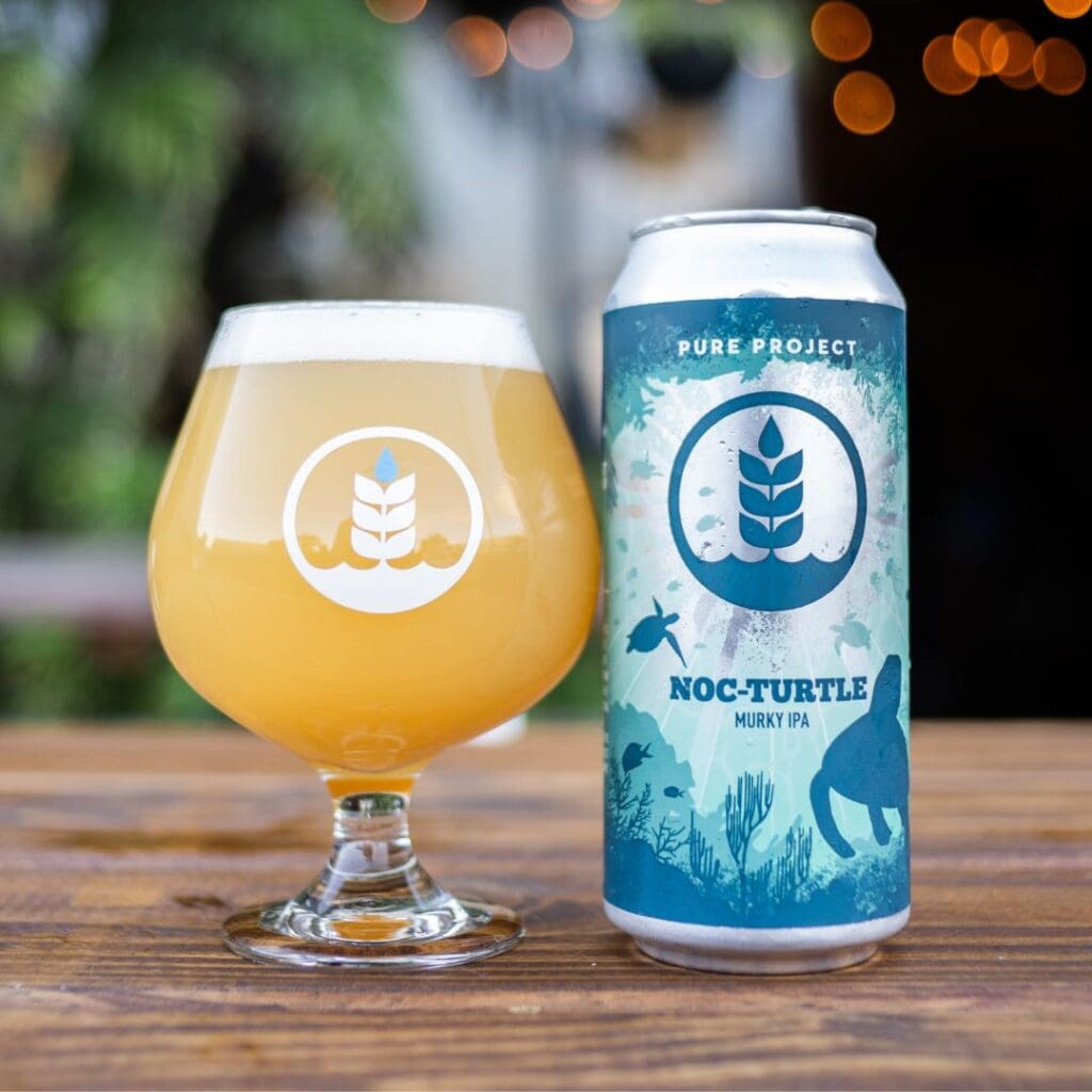 Image of Noc-Turtle Murky IPA