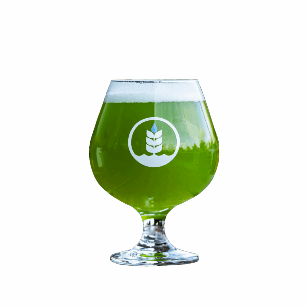 Evergreen Pure Project Cream Ale with Pandan & Coconut