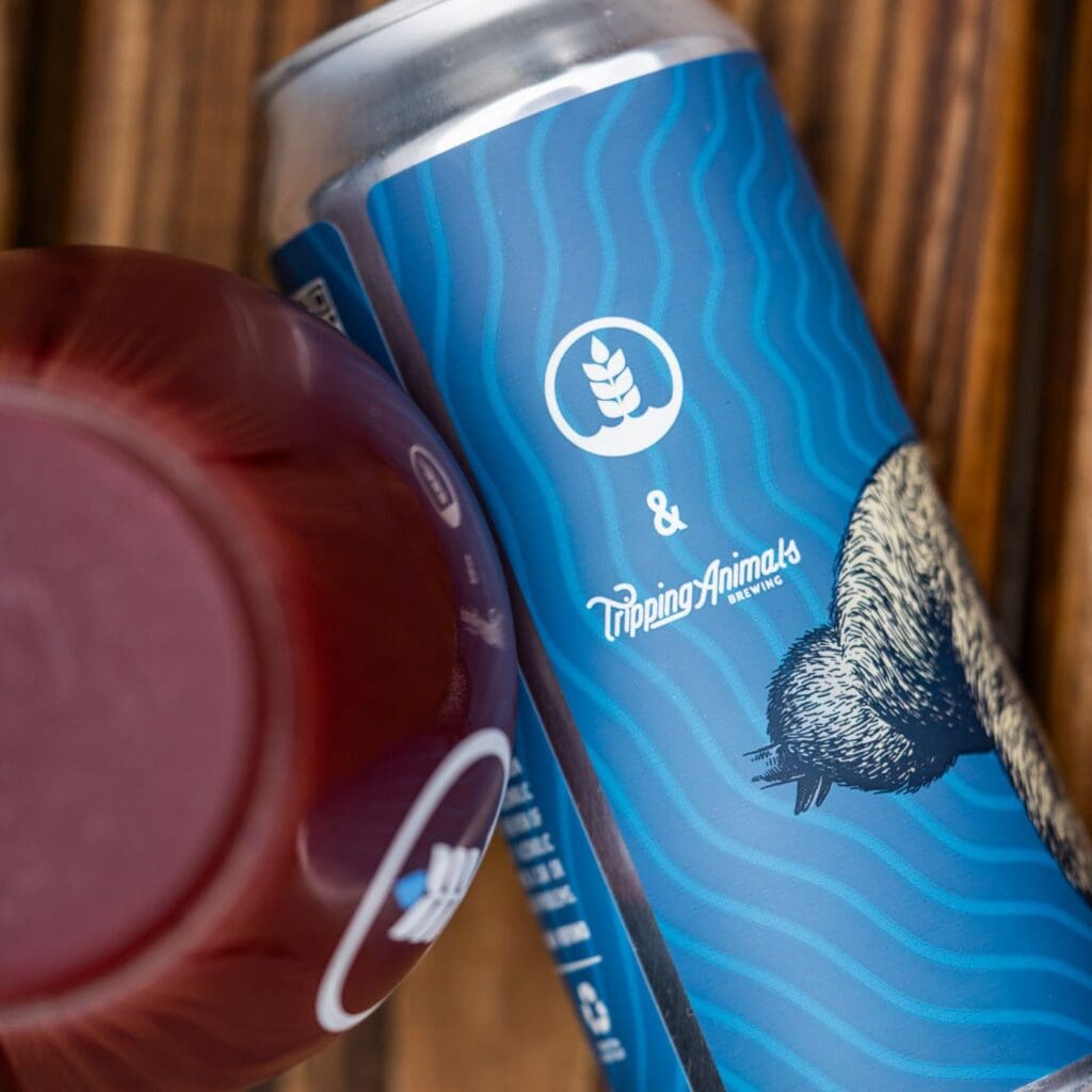 Perezoso Hard Smoothie with Blueberry & Mango