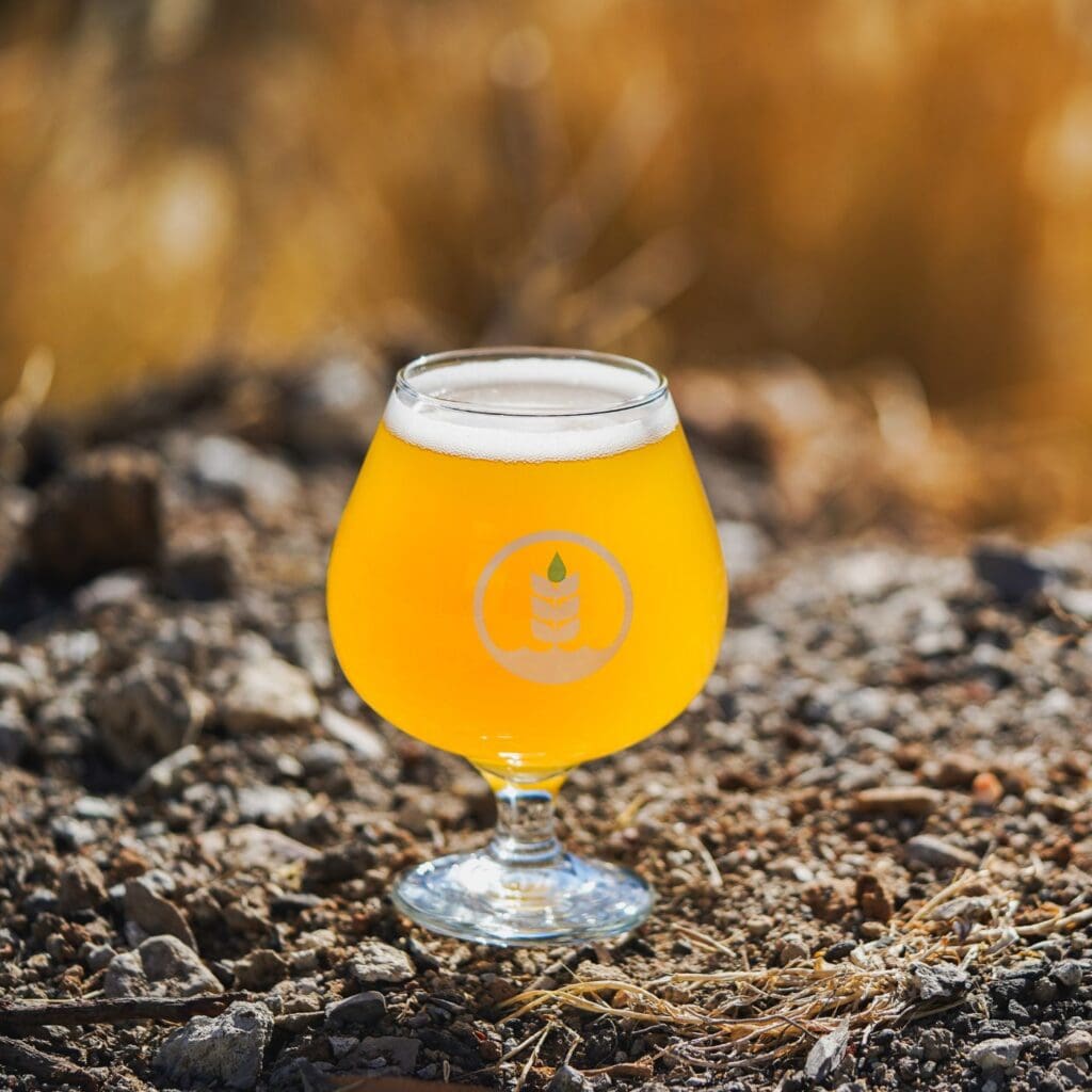 Pour of Nomad