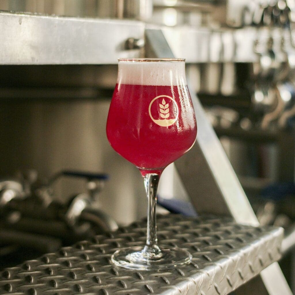 Deja Fruit with Blueberry, Blackberry, & Nectaron