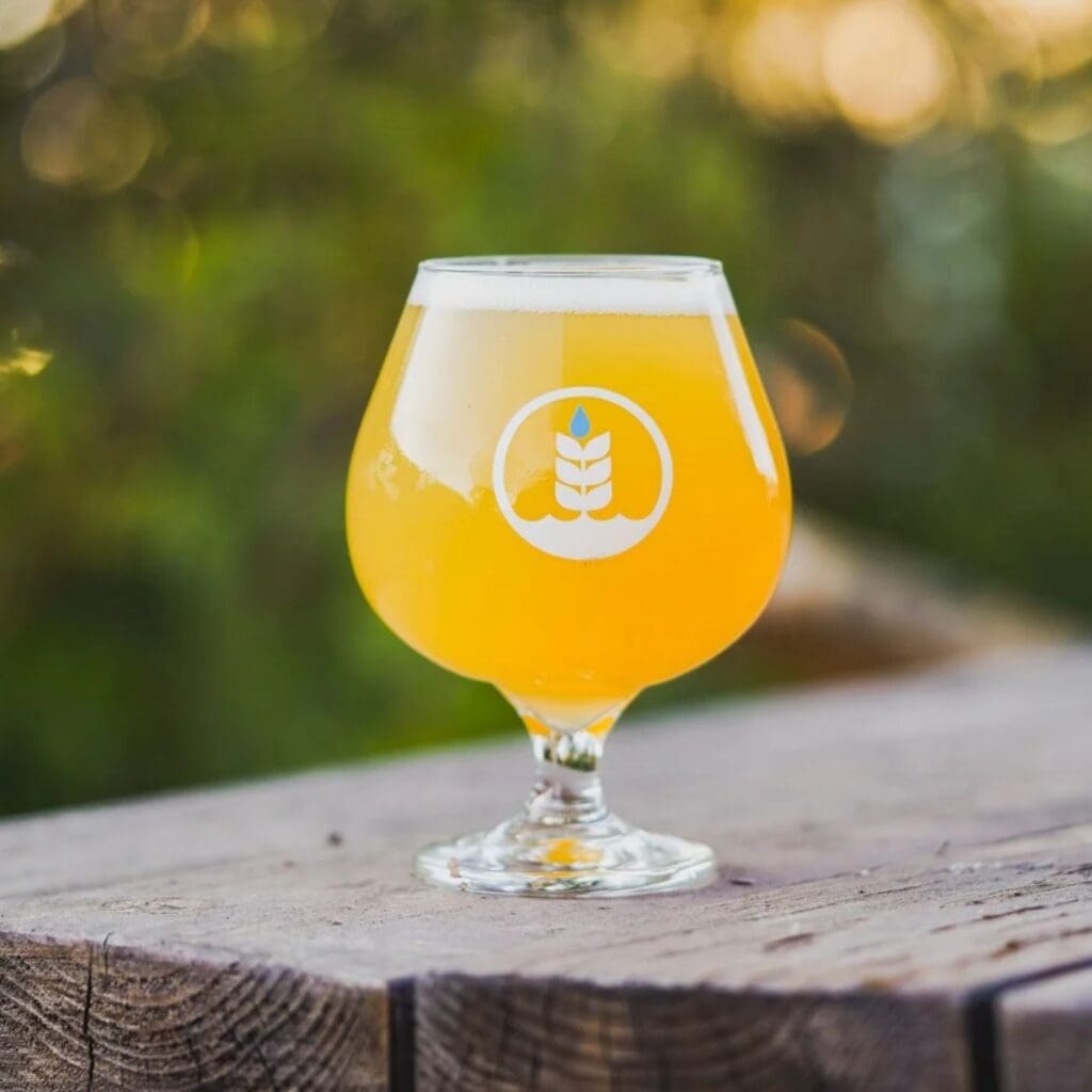 Pour of Orchard's Bounty Cider