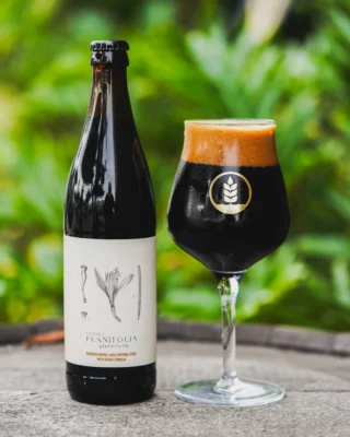 Now available on tap and in bottles to-go at all Pure Project taprooms!⁠
⁠
PLANIFOLIA - BATCH 5 🤤⁠
Bourbon Barrel-Aged Imperial Stout with Double Vanilla⁠
Taste Profile: Vanilla. Chocolate Fudge. Blueberry.⁠
14.4% ABV⁠
⁠
Bourbon and vanilla are a timeless flavor combination. So we loaded a delicious double dose of organic Tahitian vanilla beans (10 pounds to be exact!) into this fifth batch of our bourbon barrel-aged imperial stout, Planifolia. Its beautifully nuanced bourbon character comes from aging in a curated blend of four different bourbon barrels: Eagle Rare, Heaven Hill, Cutwater, and Blanton's. Planifolia exudes aromas of bourbon and chocolate fudge with flavors reminiscent of German chocolate cake, vanilla, and dark chocolate-covered blueberry.⁠
⁠
🔗 Tap the link in our bio to order for taproom pickup or find Pure beer near you!